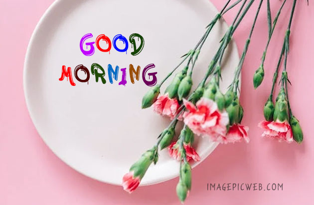 Latest 500+ New Good Morning Wishes Images Download 2023