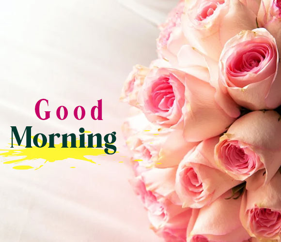 Good Morning HD Wallpaper 4K APK for Android Download